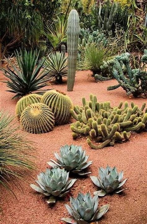 60 Stunning Desert Garden Landscaping Ideas For Home Yard Atrium