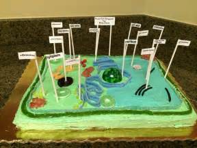 Running brushy 7th grade science. Edible plant cell project. | Things I Have Made! | Pinterest
