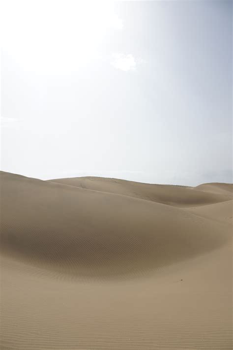 Free Images Beach Landscape Sand Desert Dune Material Habitat