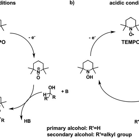 The Mechanism Of TEMPO Mediated Alcohol Oxidation Proceeds Through An