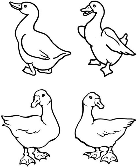 Goose coloring pages suitable for toddlers, preschool and kindergarten kids. Goose Picture Coloring Page - NetArt