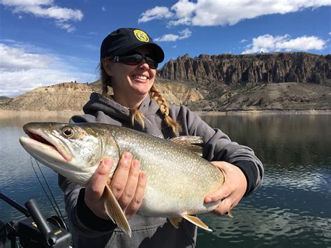 Photos Of Kokanee Salmon Fishing And Reports On Blue Mesa Reservoir In