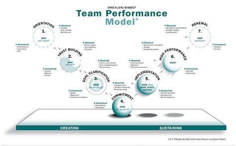 7 Step Team Performance Model Wase Consulting