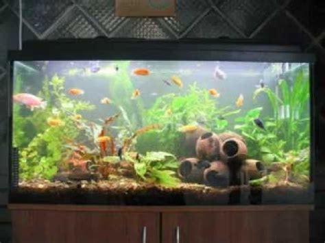 The same goes for all fish tank cleaning supplies: Easy DIY fish tank decorations - YouTube