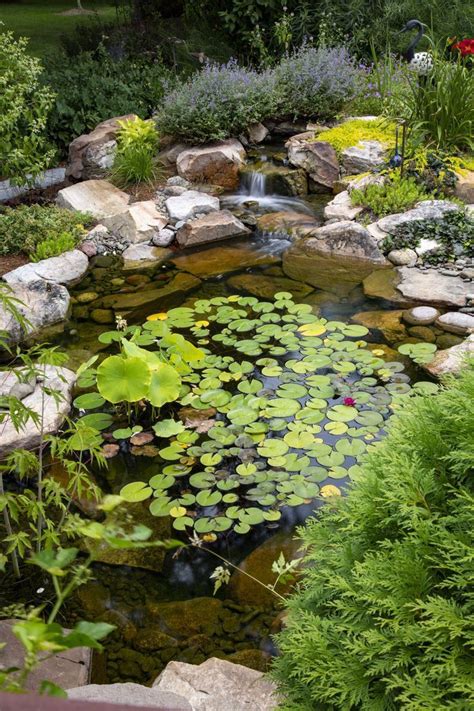 There are more options than ever before to those wanting a tree in a small space. Small Plants for Small Ponds | Ponds for small gardens ...