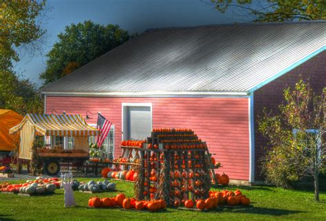 Pumpkins And Barn Free Stock Photo Public Domain Pictures