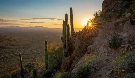The 15 Best Hikes In Tucson Back O Beyond Best Hikes Tucson Hiking