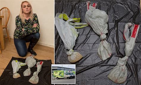 Mother Is Left Disgusted After Ocado Delivered Three Carrier Bags