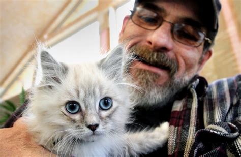Here Kitty Kitty Feral Cat Rescue To Host Kitten Adoption Event