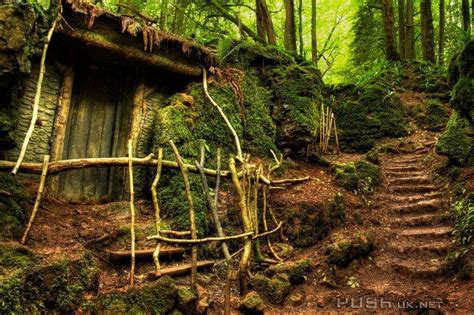 This Was Taken At Puzzlewood In The Forest Of Dean England During The