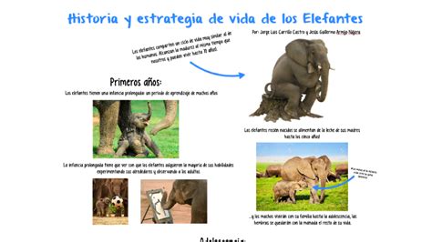 Top 130 Imagenes De La Vida De Los Elefantes Theplanetcomicsmx