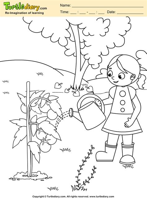 600x600 terrific earth coloring pages 66 for your picture coloring page. Water Plant Coloring Page Coloring sheet | Earth day ...