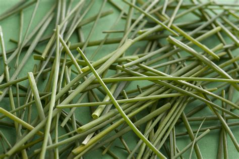 Pile Of Fresh Green Chives Free Stock Image