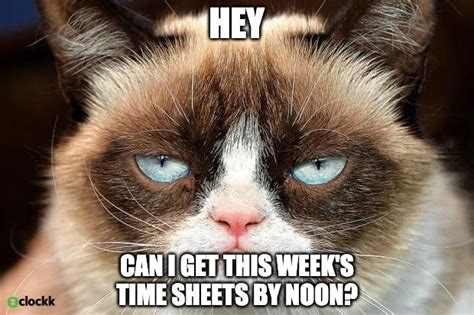 The Best “submit Your Timesheet” Memes • Clockk In 2023 Grumpy Cat