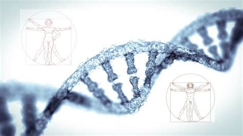 científicos logran primera secuencia completa del genoma humano