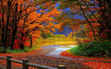 Beautiful Autumn Colors Good Fall Background Autumn Wallpaper Hd
