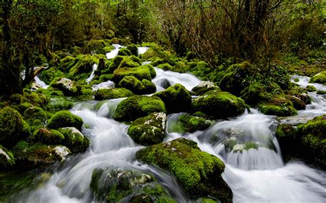 Waterfall Rock Green Moss Flow Water Hd Desktop 2560x1600
