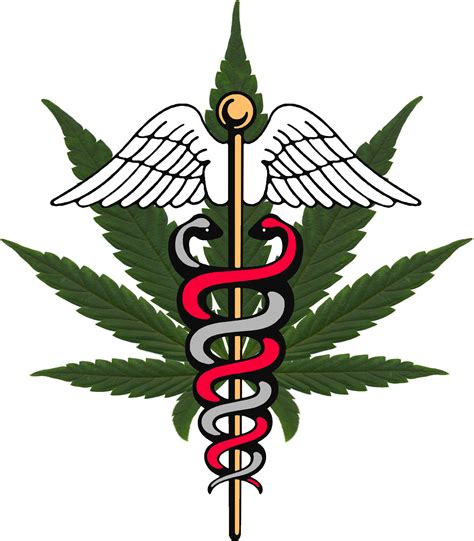 Getting access to medical marijuana in the u.s. Which States Accept My Medical Marijuana Card? - MARIJUANA POLITICS