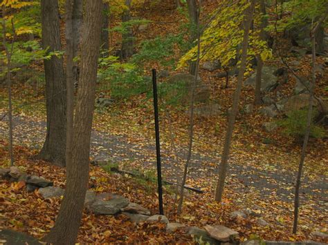 Tools and materials you will need. Specialty Agricultural Products - Deer Exclusion Fence System