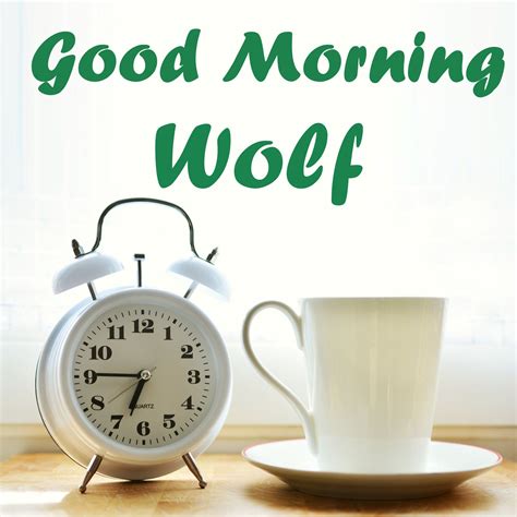 50 Best Good Morning ☀️ Images For Wolf Instant Download