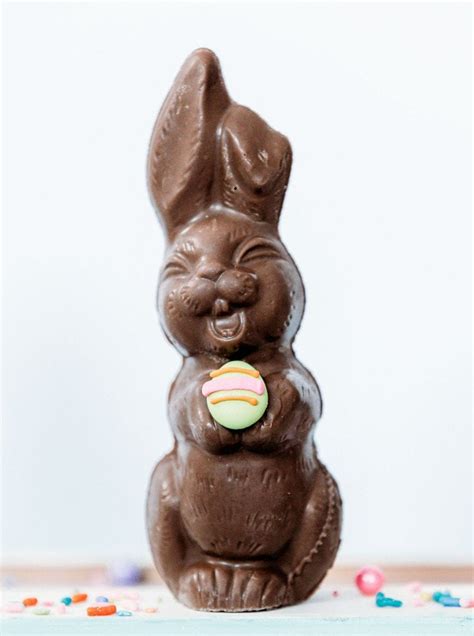 Gourmet Chocolate Bunny For Easter Treat Mr Bs Chocolates