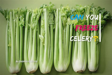 Can You Freeze Celery 5 Easy Steps Bloggingoodfood
