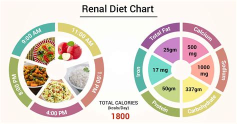 Printable Renal Diet