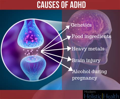 Holistic Approach To Adhd For Adults Modern Holistic Health
