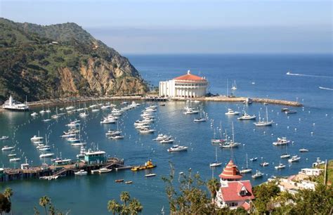 The Perfect Catalina Island Day Trip Itinerary In 2021 Catalina