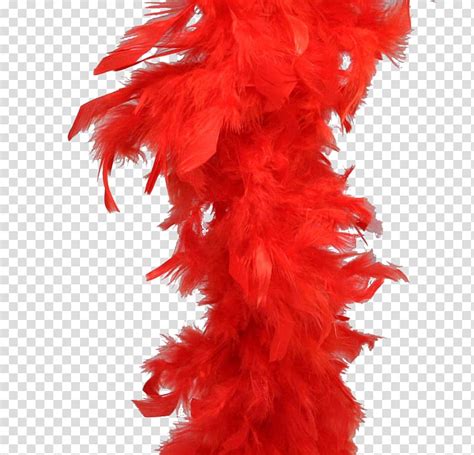Feather Boa Boa Constrictor Clothing Accessories Feather Transparent
