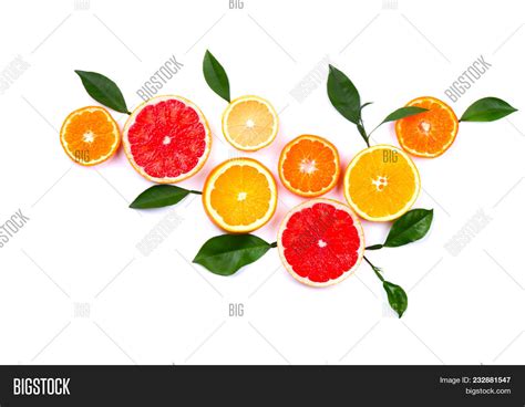 Citrus Fruits Isolated Image And Photo Free Trial Bigstock