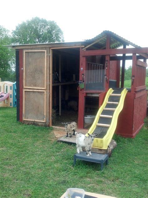 Chicken Coop Goat Shed Combo