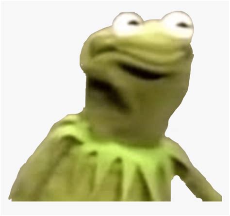 Largest Collection Of Free To Edit Kermit The Frog Angry Kermit The