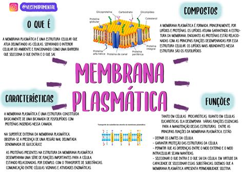 Mapa Mental Membrana Biologia