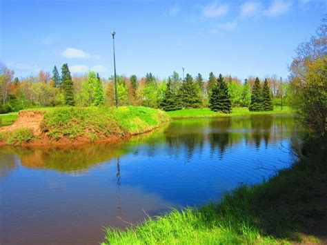 Located in the city's west end, it has an area of 0.93 km2 (0.36 sq mi). écureuil - Picture of Centennial Park, Moncton - TripAdvisor