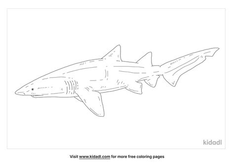 Tiger Shark Coloring Page Posted By Kenneth Joseph