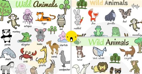 Wild Animals Names List Of 100 Wild Animals In English 7esl