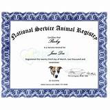 Pictures of Service Animal Registry Number