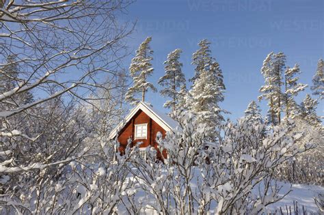 Cabin In Snowy Forest Stock Photo
