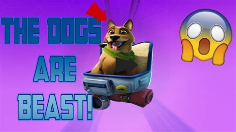 The New Pet Dog In Fortnite Barks When Eniemes Are Around Youtube
