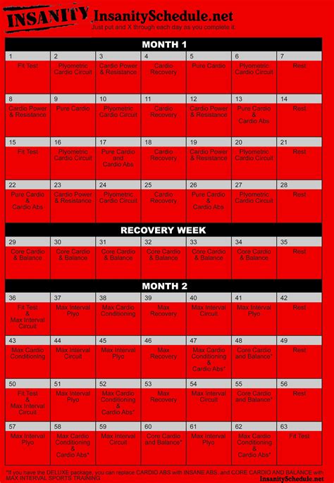 Download Pdf Insanity Workout Schedule And Insanity Workout Sheets