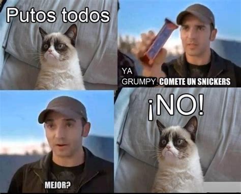Snickers Funny Memes Grumpy Cat Memes