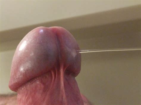 Penis In Vagina Close Up DATAWAV