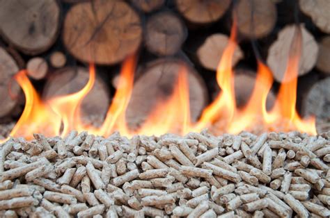 Biomass Energy Civic Issues