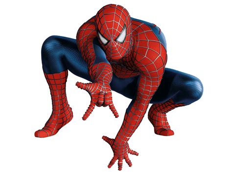 Tela De Araña Spiderman Png Free Logo Image