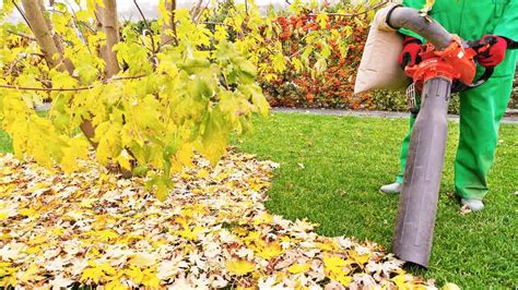 Maybe you would like to learn more about one of these? Do You Really Need a Leaf Blower Vacuum? - Consumer Reports