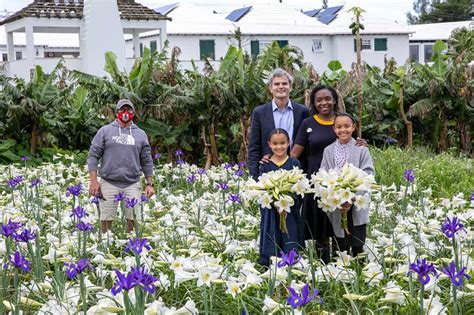 Bermuda Easter Lilies Sent To The Queen Bernews