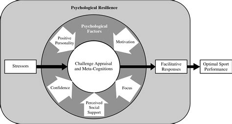 Journal Of Sport And Exercise Psychology Impact Factor ...