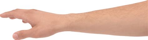 One Hand Transparent Png Png Play