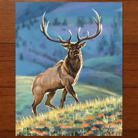 Elk Print 8″x10″ Kristen Sanzari